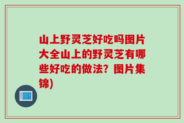 山上野灵芝好吃吗图片大全山上的野灵芝有哪些好吃的做法？图片集锦)