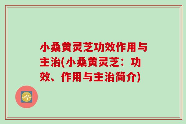 小桑黄灵芝功效作用与主治(小桑黄灵芝：功效、作用与主治简介)