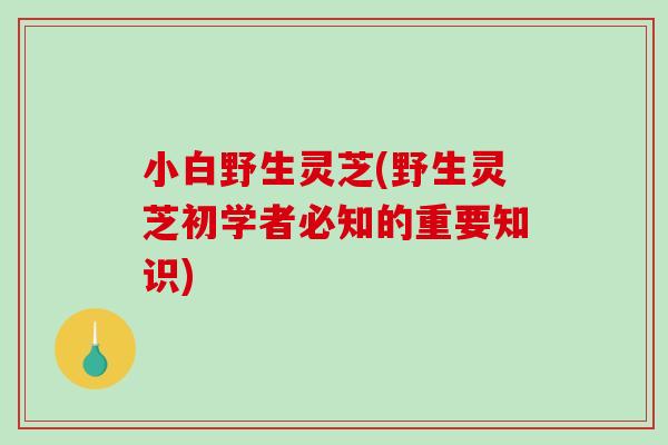 小白野生灵芝(野生灵芝初学者必知的重要知识)