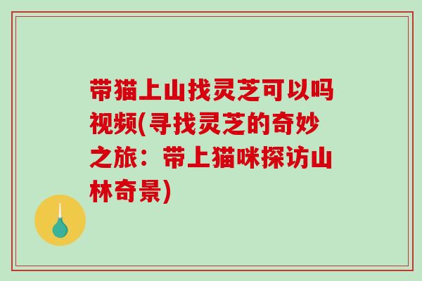 带猫上山找灵芝可以吗视频(寻找灵芝的奇妙之旅：带上猫咪探访山林奇景)