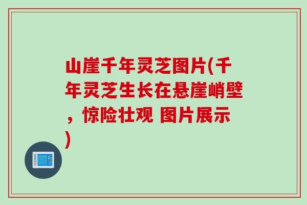山崖千年灵芝图片(千年灵芝生长在悬崖峭壁，惊险壮观 图片展示)