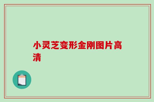 小灵芝变形金刚图片高清