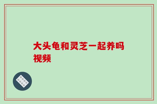 大头龟和灵芝一起养吗视频