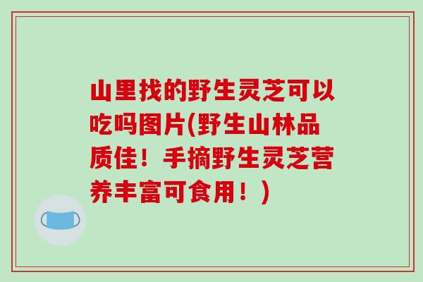 山里找的野生灵芝可以吃吗图片(野生山林品质佳！手摘野生灵芝营养丰富可食用！)