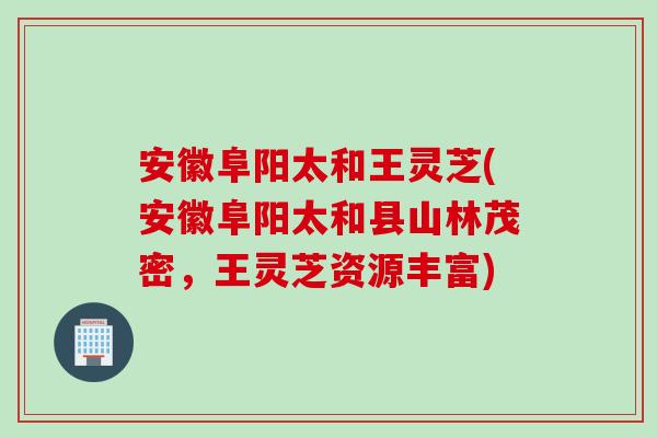 安徽阜阳太和王灵芝(安徽阜阳太和县山林茂密，王灵芝资源丰富)