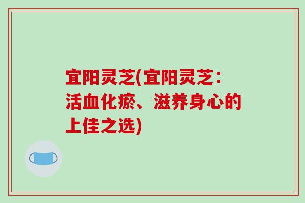 宜阳灵芝(宜阳灵芝：活血化瘀、滋养身心的上佳之选)