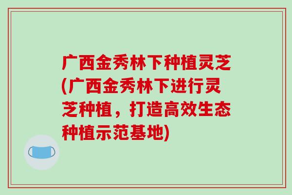 广西金秀林下种植灵芝(广西金秀林下进行灵芝种植，打造高效生态种植示范基地)