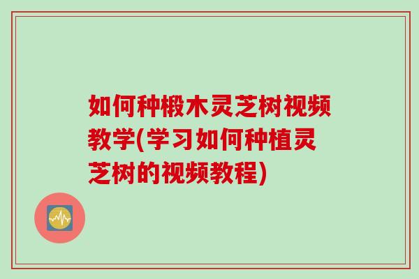 如何种椴木灵芝树视频教学(学习如何种植灵芝树的视频教程)