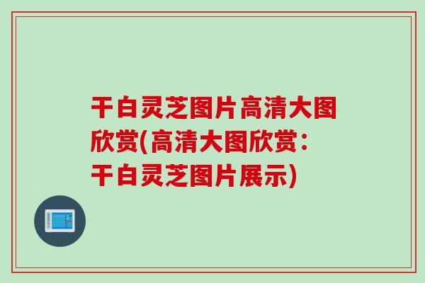 干白灵芝图片高清大图欣赏(高清大图欣赏：干白灵芝图片展示)