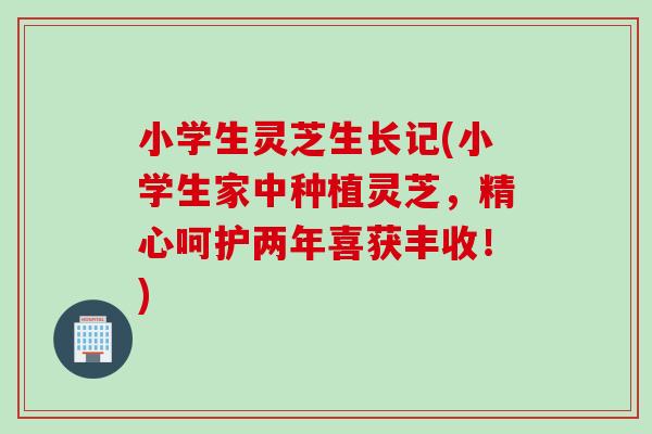 小学生灵芝生长记(小学生家中种植灵芝，精心呵护两年喜获丰收！)