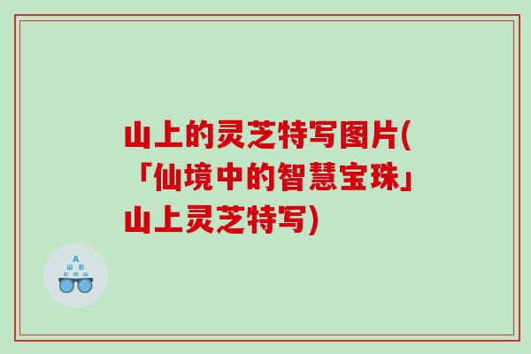 山上的灵芝特写图片(「仙境中的智慧宝珠」山上灵芝特写)