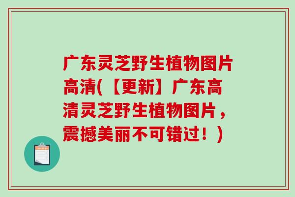 广东灵芝野生植物图片高清(【更新】广东高清灵芝野生植物图片，震撼美丽不可错过！)