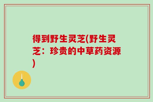 得到野生灵芝(野生灵芝：珍贵的中草药资源)