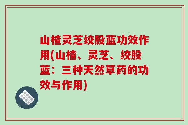 山楂灵芝绞股蓝功效作用(山楂、灵芝、绞股蓝：三种天然草药的功效与作用)
