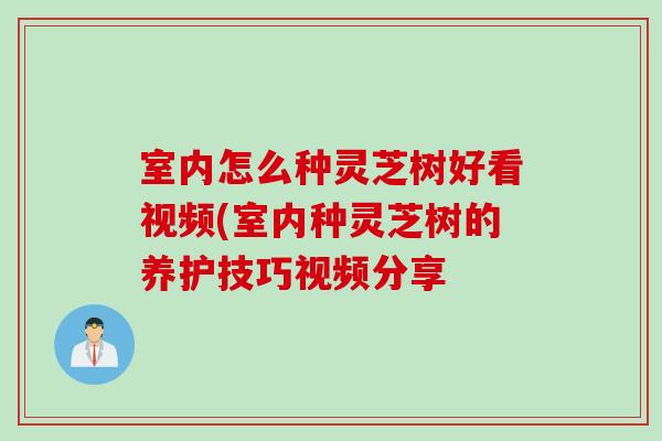 室内怎么种灵芝树好看视频(室内种灵芝树的养护技巧视频分享