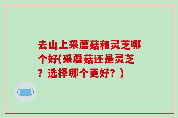 去山上采蘑菇和灵芝哪个好(采蘑菇还是灵芝？选择哪个更好？)