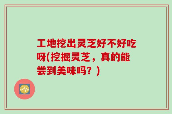 工地挖出灵芝好不好吃呀(挖掘灵芝，真的能尝到美味吗？)