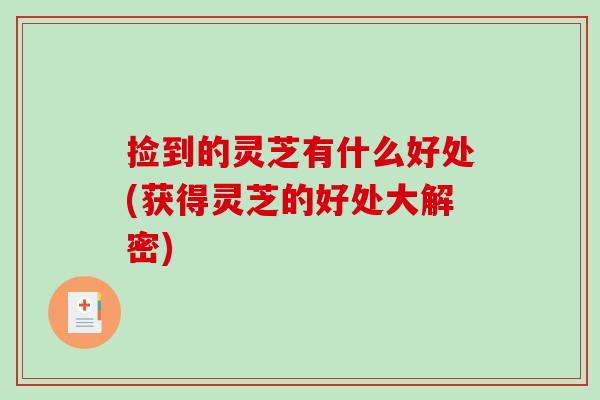 捡到的灵芝有什么好处(获得灵芝的好处大解密)
