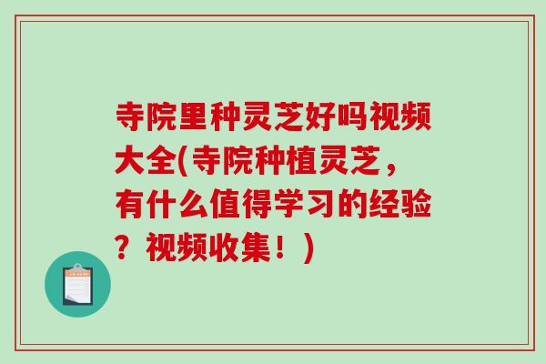 寺院里种灵芝好吗视频大全(寺院种植灵芝，有什么值得学习的经验？视频收集！)