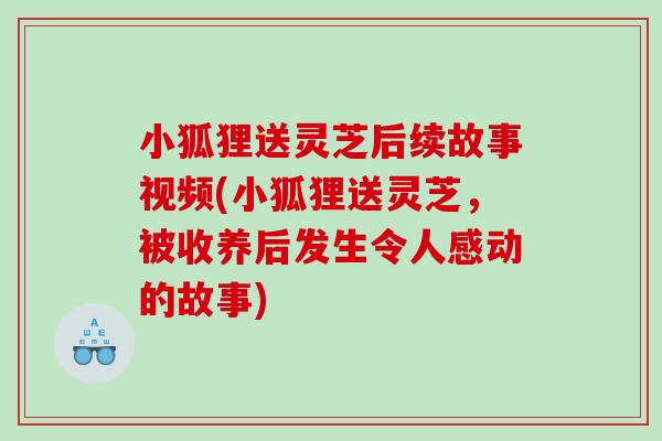 小狐狸送灵芝后续故事视频(小狐狸送灵芝，被收养后发生令人感动的故事)
