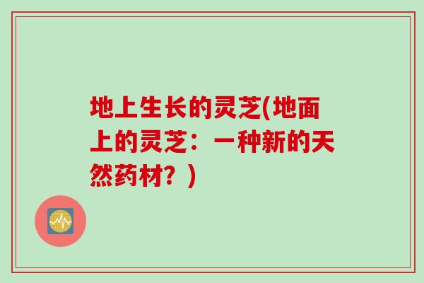 地上生长的灵芝(地面上的灵芝：一种新的天然药材？)