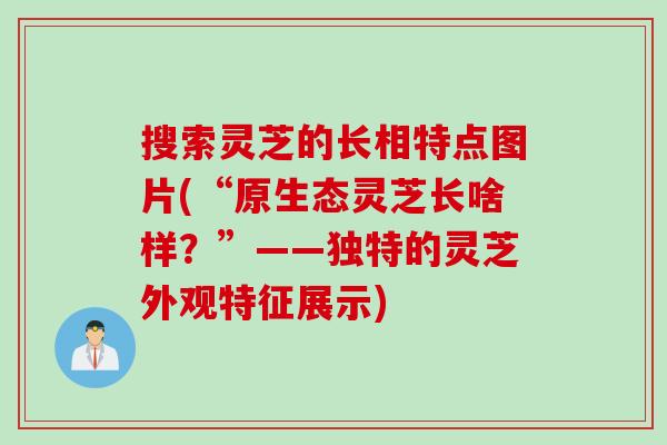 搜索灵芝的长相特点图片(“原生态灵芝长啥样？”——独特的灵芝外观特征展示)