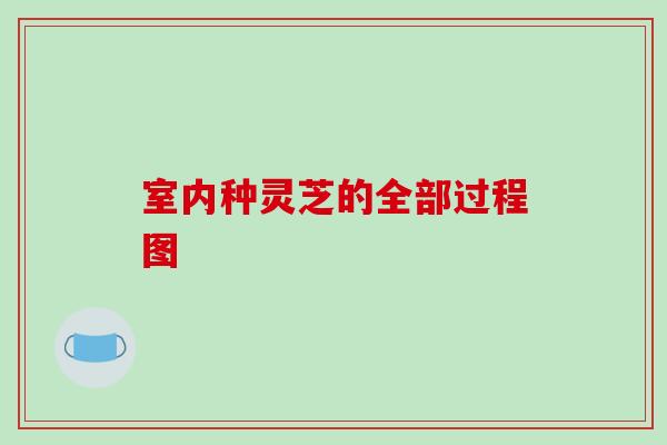 室内种灵芝的全部过程图