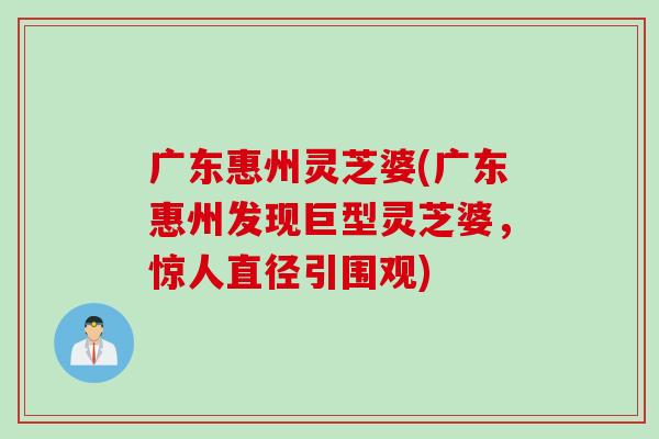 广东惠州灵芝婆(广东惠州发现巨型灵芝婆，惊人直径引围观)