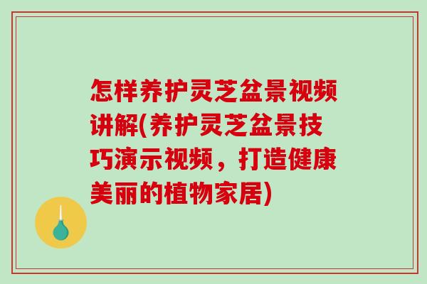 怎样养护灵芝盆景视频讲解(养护灵芝盆景技巧演示视频，打造健康美丽的植物家居)