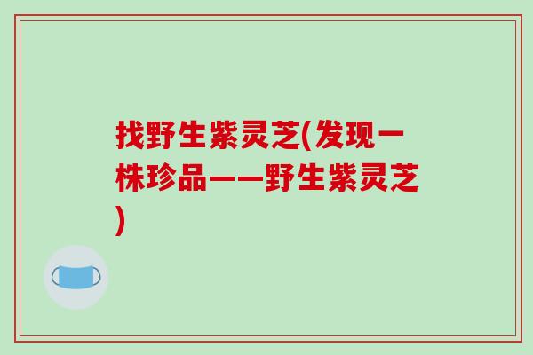 找野生紫灵芝(发现一株珍品——野生紫灵芝)