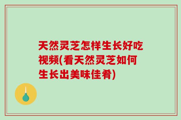 天然灵芝怎样生长好吃视频(看天然灵芝如何生长出美味佳肴)