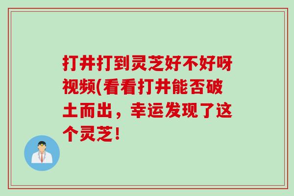 打井打到灵芝好不好呀视频(看看打井能否破土而出，幸运发现了这个灵芝！