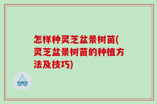 怎样种灵芝盆景树苗(灵芝盆景树苗的种植方法及技巧)