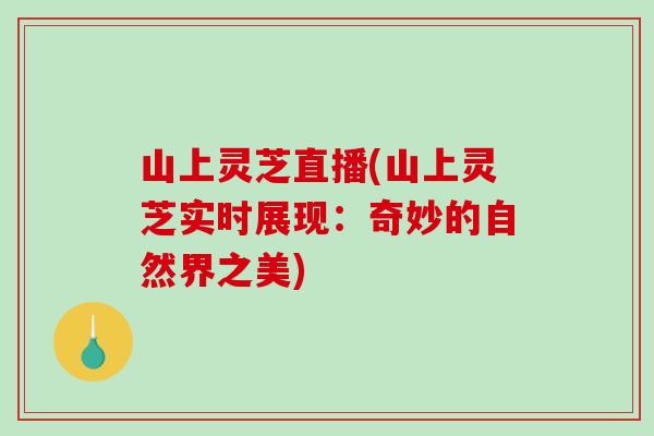 山上灵芝直播(山上灵芝实时展现：奇妙的自然界之美)