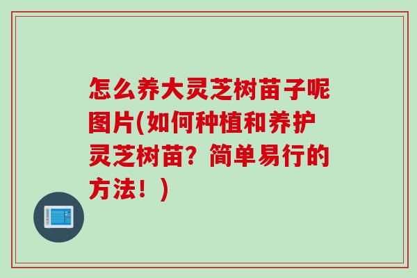 怎么养大灵芝树苗子呢图片(如何种植和养护灵芝树苗？简单易行的方法！)