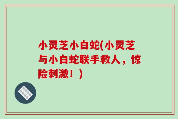 小灵芝小白蛇(小灵芝与小白蛇联手救人，惊险刺激！)