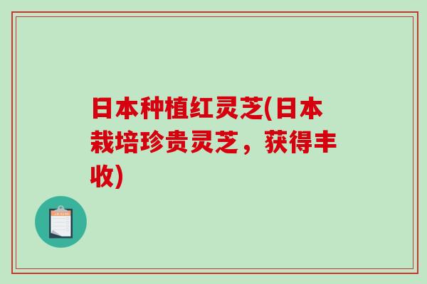日本种植红灵芝(日本栽培珍贵灵芝，获得丰收)