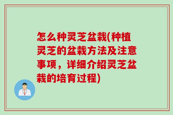 怎么种灵芝盆栽(种植灵芝的盆栽方法及注意事项，详细介绍灵芝盆栽的培育过程)