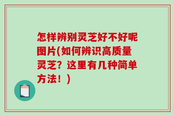 怎样辨别灵芝好不好呢图片(如何辨识高质量灵芝？这里有几种简单方法！)