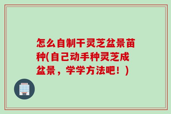 怎么自制干灵芝盆景苗种(自己动手种灵芝成盆景，学学方法吧！)