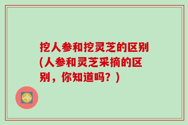 挖人参和挖灵芝的区别(人参和灵芝采摘的区别，你知道吗？)