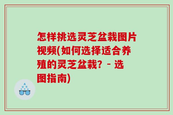 怎样挑选灵芝盆栽图片视频(如何选择适合养殖的灵芝盆栽？- 选图指南)