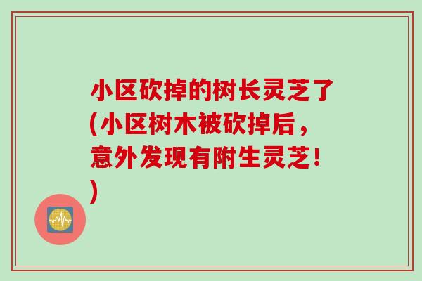 小区砍掉的树长灵芝了(小区树木被砍掉后，意外发现有附生灵芝！)