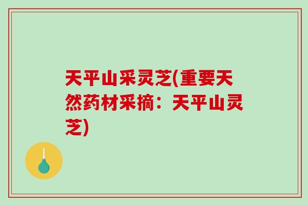 天平山采灵芝(重要天然药材采摘：天平山灵芝)