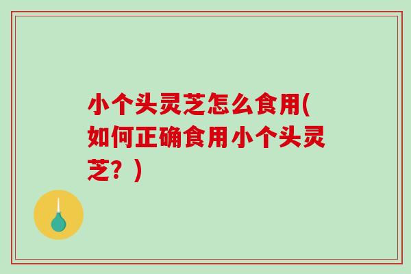 小个头灵芝怎么食用(如何正确食用小个头灵芝？)