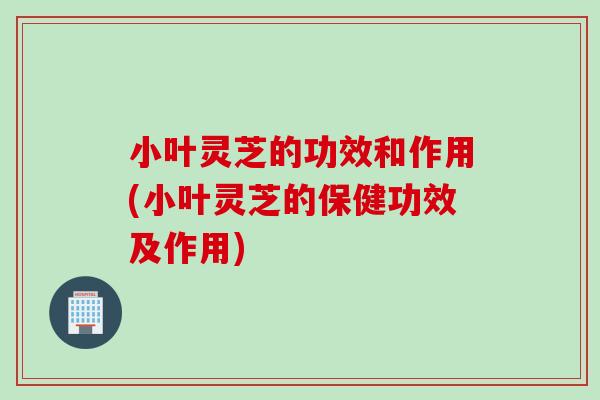 小叶灵芝的功效和作用(小叶灵芝的保健功效及作用)