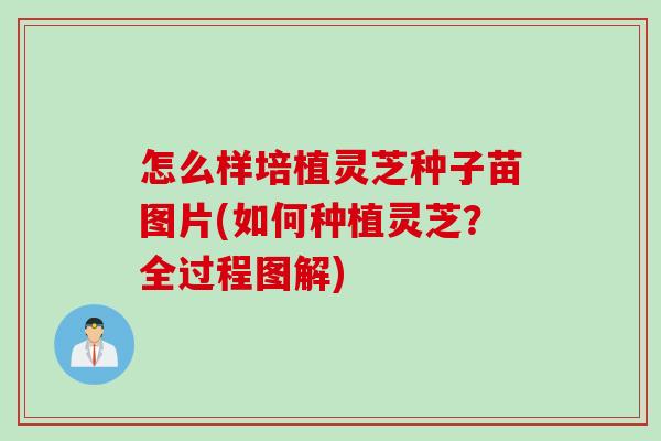 怎么样培植灵芝种子苗图片(如何种植灵芝？全过程图解)