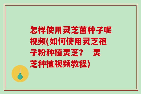 怎样使用灵芝菌种子呢视频(如何使用灵芝孢子粉种植灵芝？  灵芝种植视频教程)