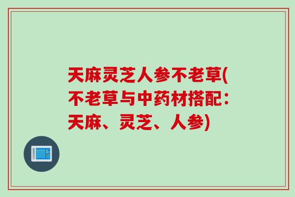 天麻灵芝人参不老草(不老草与中药材搭配：天麻、灵芝、人参)