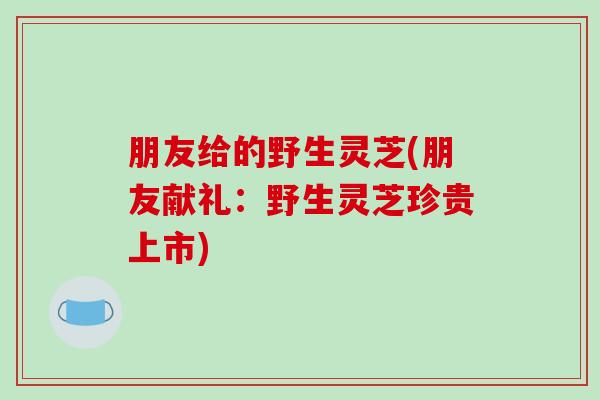 朋友给的野生灵芝(朋友献礼：野生灵芝珍贵上市)